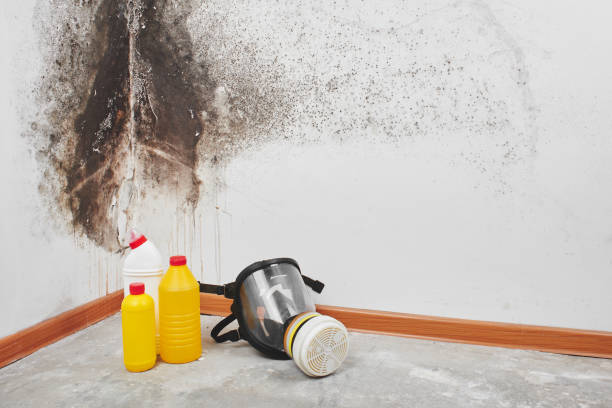 Reliable Anadarko, OK Mold Remediation Solutions