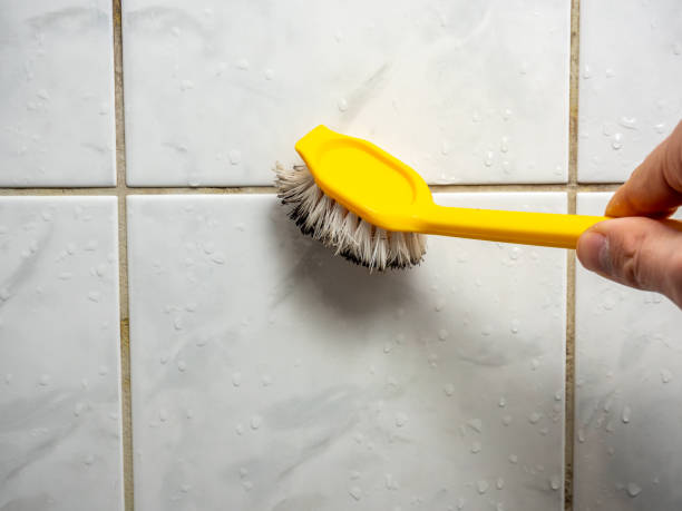 Best Mold Testing and Inspection Services in Anadarko, OK