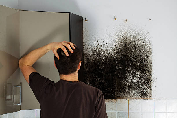 Best HVAC Mold Remediation in Anadarko, OK